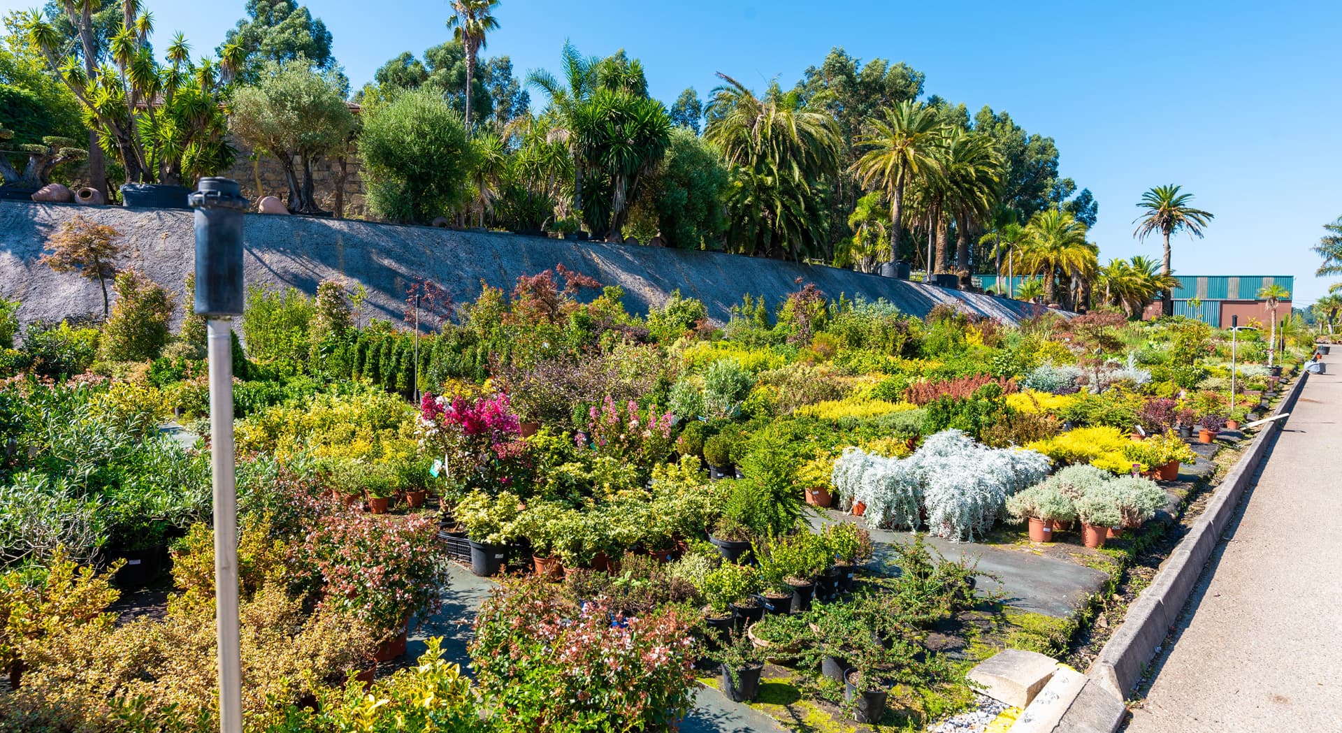 diseñadores de jardines