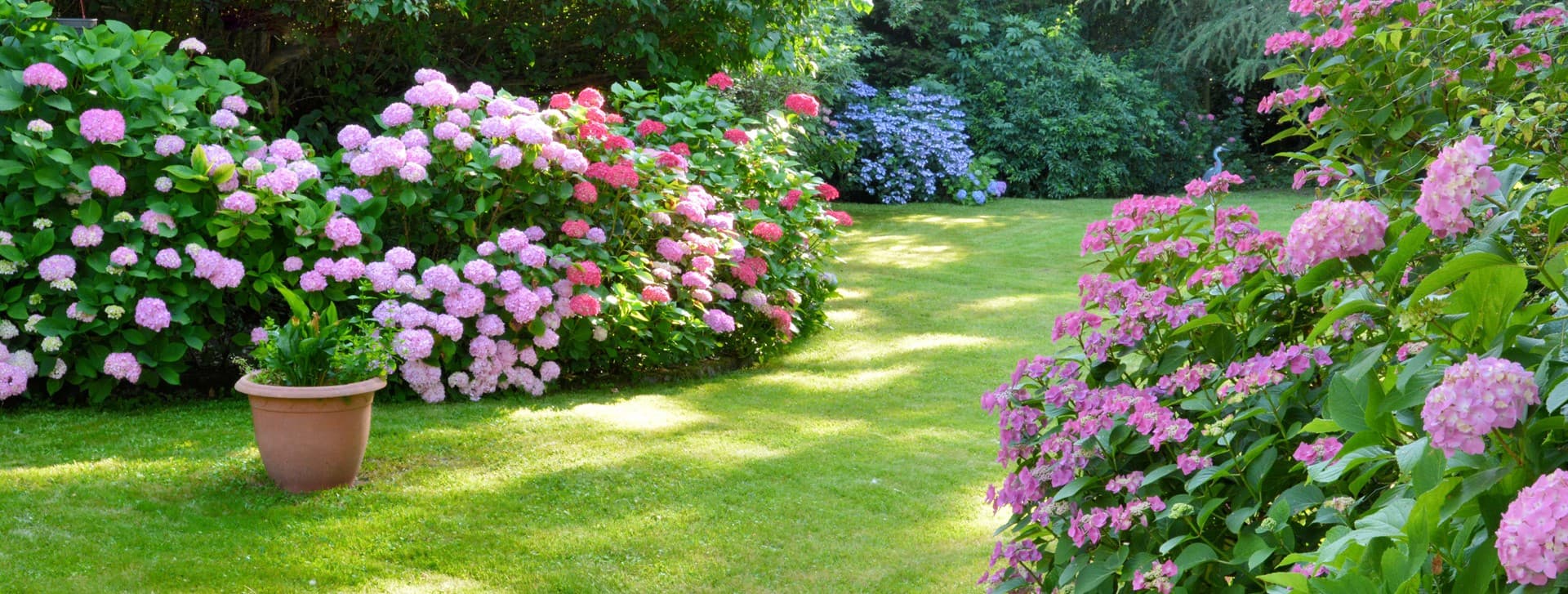 Jardinería en Pontevedra